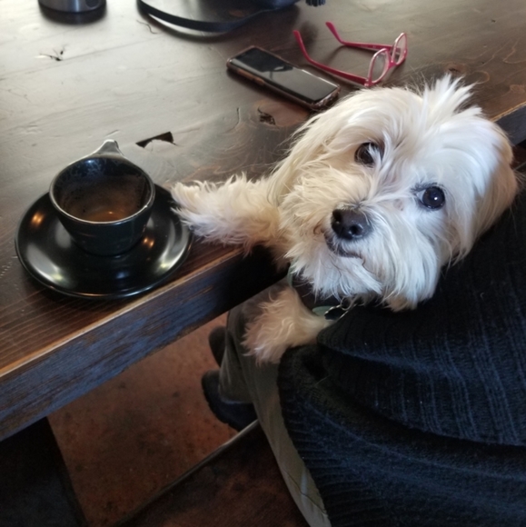 Meet your Posher - Picture 5 of 9